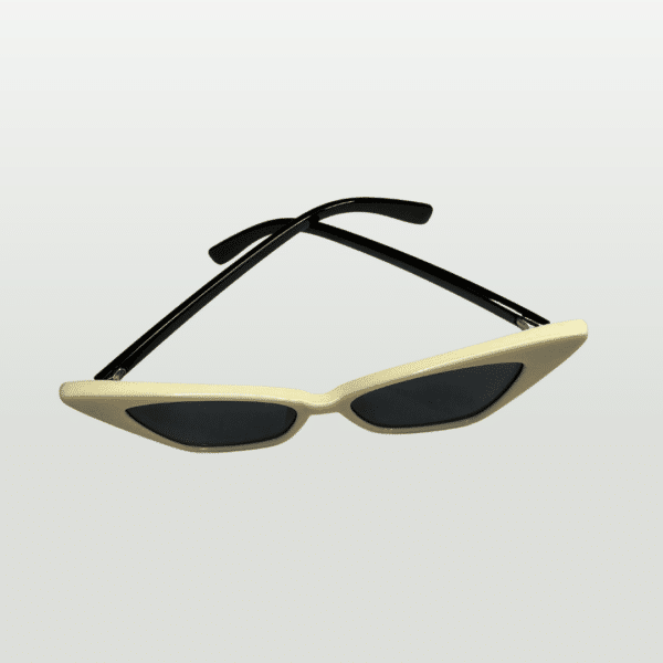 Premium Imported Sunglasses - EP4538