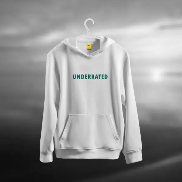 Premium Oversized Hoodie (Underrated)