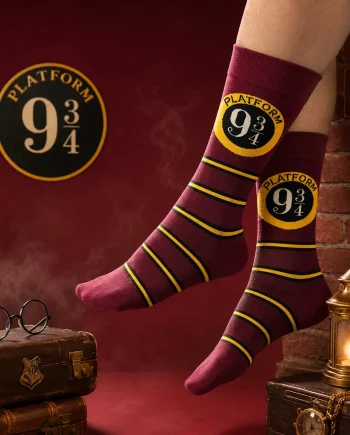 Harry Potter - Iconic Themed Socks